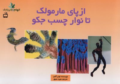 از پاهای مارمولک تا نوار چسب جکو - مجموعه ی الهام از طبیعت