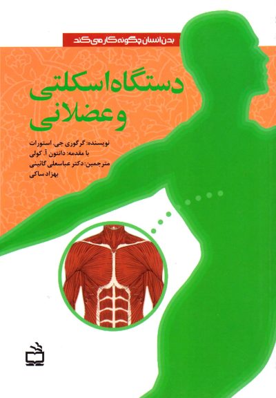 دستگاه اسکلتی و عضلانی - بدن انسان چگونه کار میکند