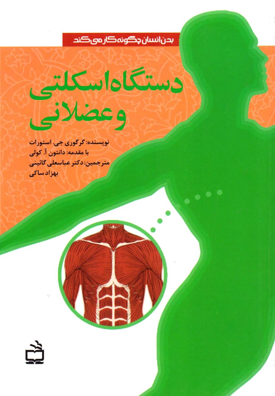 دستگاه اسکلتی و عضلانی - بدن انسان چگونه کار می‌کند