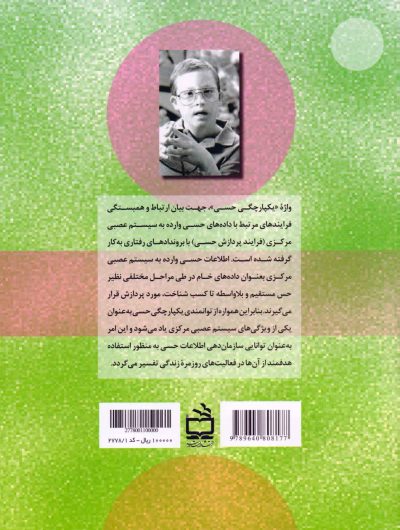 مبانی یکپارچگی حسی و کاربرد آن در کودکان با نیازهای ویژه