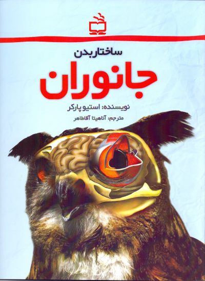 جانوران - ساختار بدن