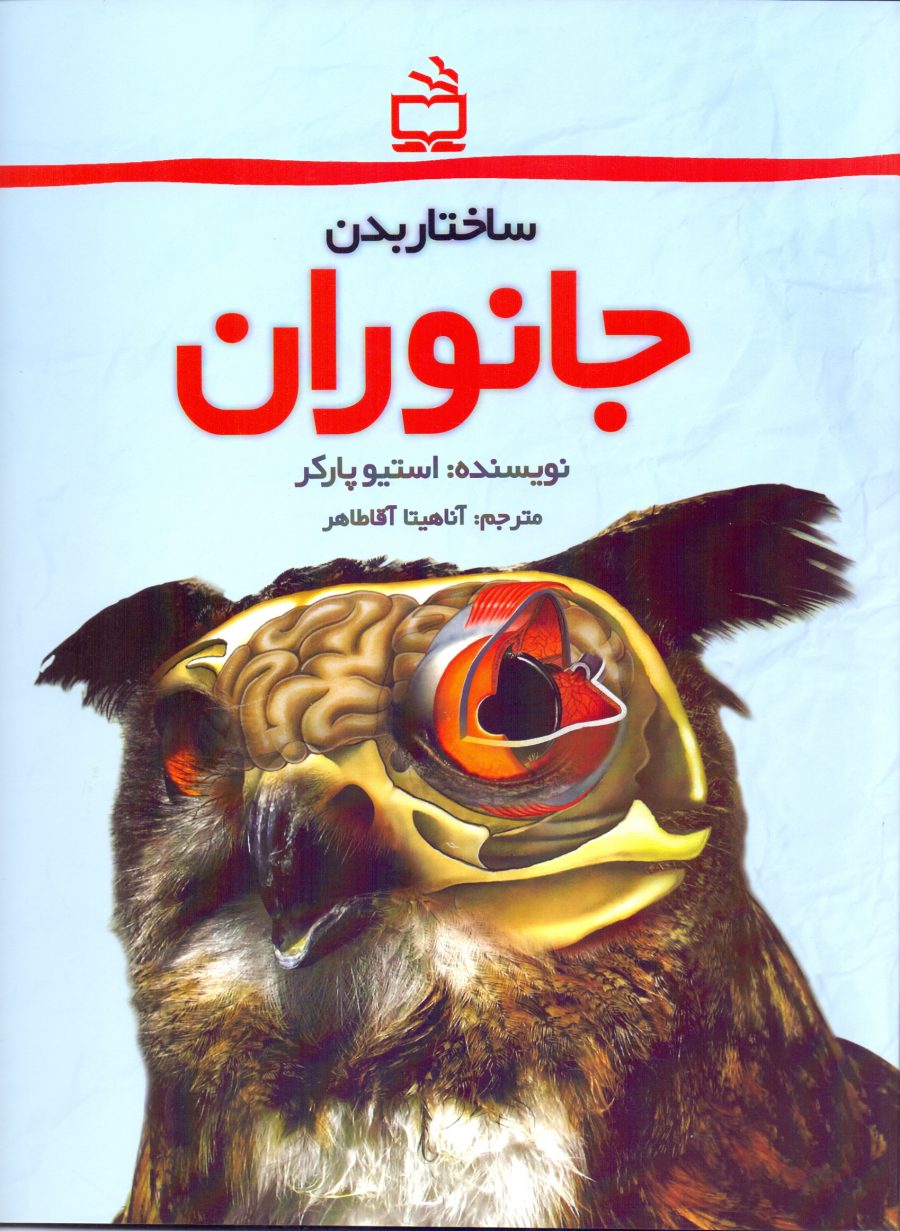 جانوران - ساختار بدن